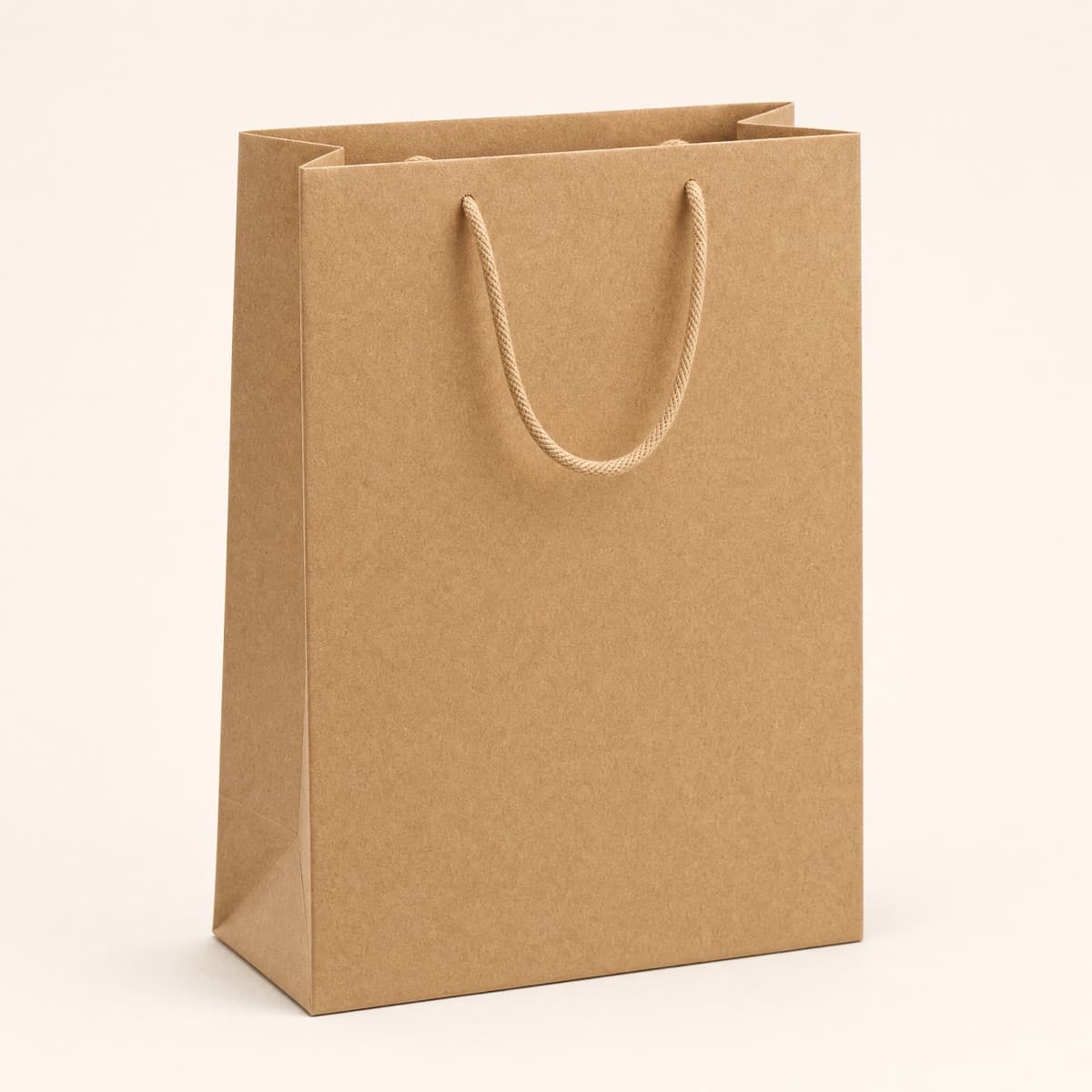 Eco Paper Bag — Standard