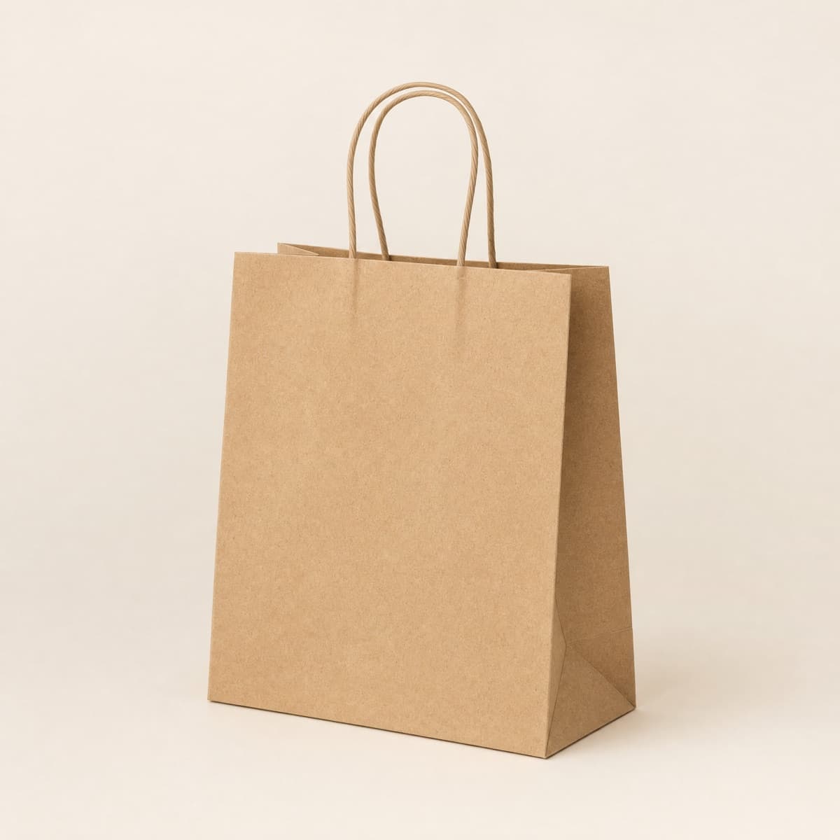 Folded Lunch Paper Bag — White
